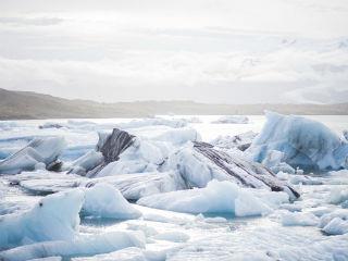 The Arctic has had warm spells before. So what’s the big deal? The big deal is that scientists have been monitoring the Arctic for decades and have conclusively shown a long-term, significant warming trend. In fact, it’s warming more than twice as fast as the rest of the globe. This warming is accompanied by other major Arctic-wide changes in the ocean, atmosphere and land.