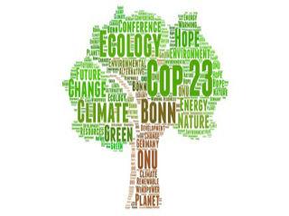 At COP23, negotiations are likely to focus on how countries go about implementing the Paris Agreement in practice, as well as addressing the difficult subject of US President Donald Trump’s decision to pull his country out of the agreement. There is also likely to be a focus on helping those small island nations most at risk from the effects of climate change, owing to the fact that COP23 is being run under the presidency of Fiji.