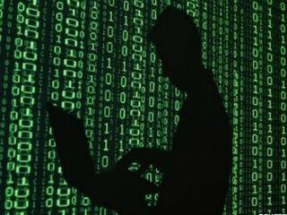 Chernozubov, the president of the National Foundation for Mass Sports Development and a Russian national champion in gymnastics, is a strong believer in the power of social sports and the role of the new media and the Internet in popularizing sports. He envisions making the competitive processes in sports, both at the amateur and professional levels, more enriched by the new technology.