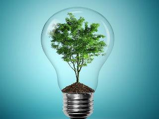 Studies show that companies that take steps to operate more sustainably outperform their peers in terms of shareholder return. In a recent study from the Henley Business School, researchers examined the relationship between carbon emission disclosures and financial performance for UK companies. They found that the mere act of disclosure results in improved share price performance, and that there is “a significant positive relation between corporate carbon disclosure and corporate financial performance”.