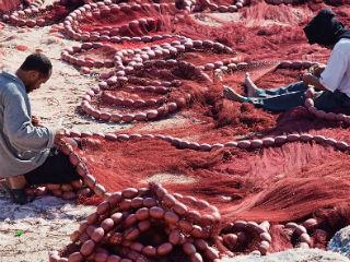 On 27 February, the European Court of Justice (ECJ) will rule on a legal opinion that seeks to invalidate the existing EU-Morocco Fishery agreement.