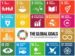 They were criticised for a lack of focus on social justice and inequality. The UN’s own assessment of progress towards the MDGs found that the needs of the most vulnerable - the poorest members of society, and those disadvantaged by gender, age, disability or ethnicity - were often overlooked. Another critique offered was that the goals had been drawn up without sufficient consultation of the very people they sought to help.