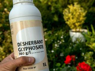 The ruling states: “The required warning for glyphosate does not appear to be factually accurate and uncontroversial because it conveys the message that glyphosate’s carcinogenicity is an undisputed fact, when almost all other regulators have concluded that there is insufficient evidence that it causes cancer.