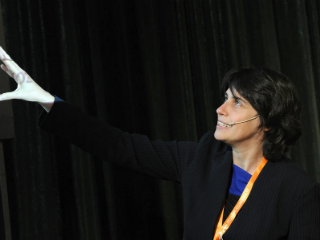 The theory goes that in a world of free capital flows, a country can have an independent monetary policy only by having its exchange rate float (Obstfeld and Taylor, 2004). While both emerging markets and advanced economies have increasingly opened their borders to financial flows, Rey argued in an influential speech to central bankers at Jackson Hole, Wyoming, in 2013 that the scale of financial globalization had called this theory into question.