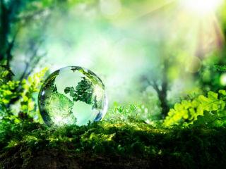 The combination of technologies such as the Internet of Things, advanced satellites and earth observation, portable DNA barcoding, artificial intelligence and blockchain is on the verge of creating unprecedented accountability in markets.