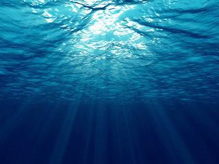 One reason why plastic pollution seems to get more attention than other threats to the ocean is that the issue may have a technological “fix”. The Ocean Cleanup is the flagship tech solution to marine plastic and proposes using several 600-metre long barriers to float in the ocean current and catch plastic drifting in the surface waters of the gyres.