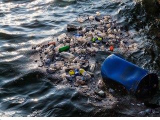The impact of overfishing is wide-ranging. It’s a cause of degraded ecosystems, according to the WWF, and affects the size of the fish left behind, as well as how they reproduce and the speed at which they mature. When too many fish are removed from one particular spot, the resulting imbalances can kill off other marine life, including sea turtles and corals.
