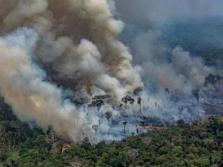 Scientists are concerned that the Amazon is perilously close to a tipping-point creating conditions so hot and dry that local species could not regenerate. If 20-25 percent of the tree cover is deforested, the basin’s capacity to absorb carbon dioxide would collapse. If this happens, the world/s largest tropical forest will become its biggest patch of scrubland.