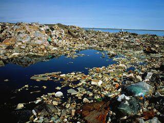 EU member states will also have new recycling targets with increased responsibility for producers. The collection target for plastic bottles will have to be 90 per cent achieved by 2029, plastic bottles will have to contain at least 25 per cent recycled content by 2025 and 30 per cent by 2030.The European Parliament argues that the agreement will strengthen the application of the “polluter pays” principle by introducing extended responsibility for producers to ensure that manufacturers bear the costs. This regime will apply, in particular, to tobacco and to fishing gear, ensuring that manufacturers bear the cost of collecting nets lost at sea.
