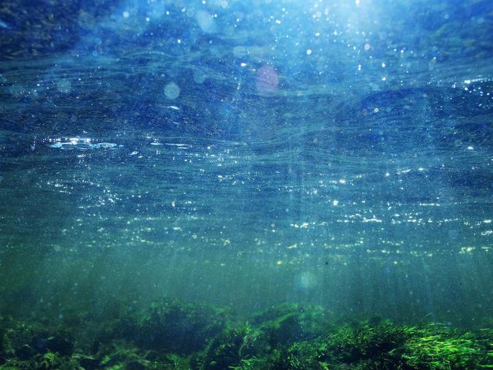 “There are a lot of aquaculturists who don’t realize right now the power of real-time monitoring”.