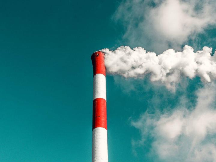 "The Impact Assessment accompanying the Commission’s proposal only assessed net targets, revealing that this idea has been in the making for some time, despite this not being explicit in the public consultations."