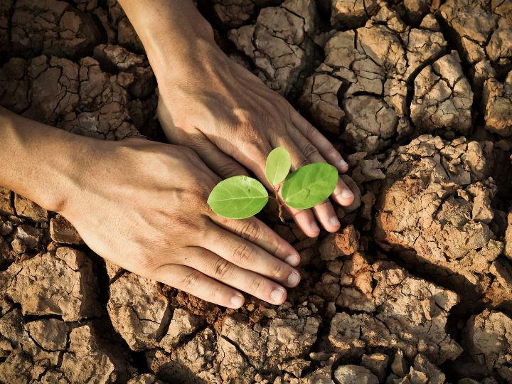 “It is of upmost importance to strengthen the current ETS by aligning the emissions ceiling with the increased target for 2030.”