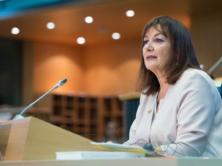 "Representatives of the Committee of the Regions and the European Economic and Social Committee, as well as the Conference of Parliaments of the European Union (COSAC), may also be invited to attend meetings of the executive committee as observers."