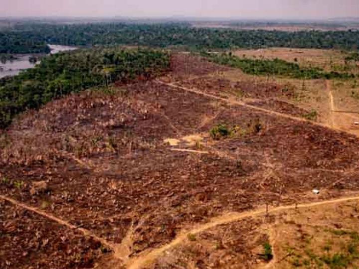 "We must recognize that the way we currently produce and consume food, and our blatant disregard for the environment more broadly, has pushed the natural world to its limits".