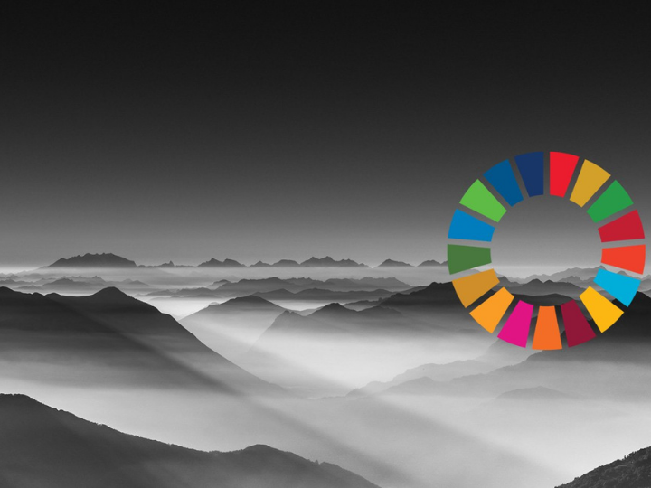 Put the framework at the heart of your sustainability strategy. Start by using it to audit your internal resources.