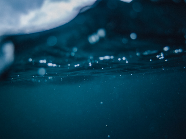 "Oceans absorb carbon dioxide from the atmosphere through microscopic algae that carry out photosynthesis and then sink to the deep sea when they die."