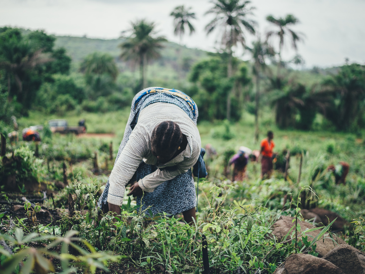 Sub-Saharan Africa experiences one-third of the world’s droughts.
