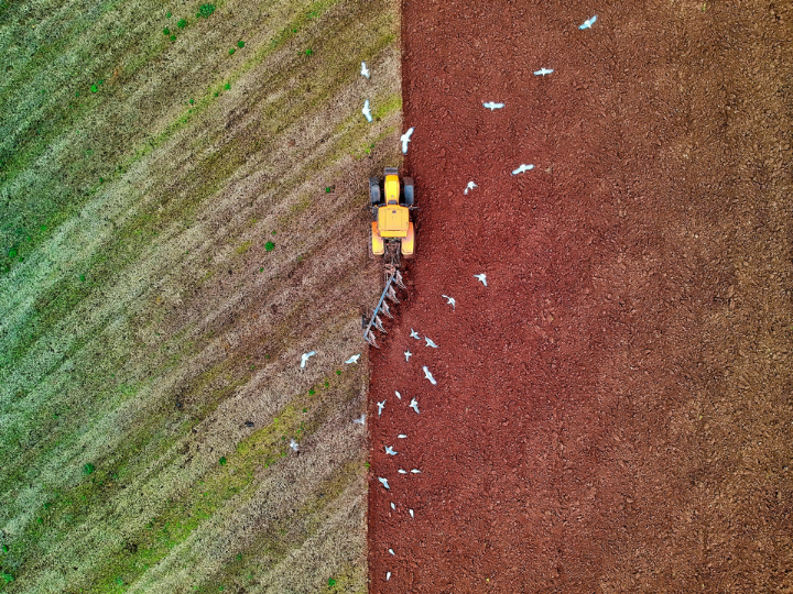 "CAP is made up of two main items: direct payments to farmers, which together with market-related expenditures form the so-called first pillar, and support for rural development, which is considered as the CAP’s second pillar."