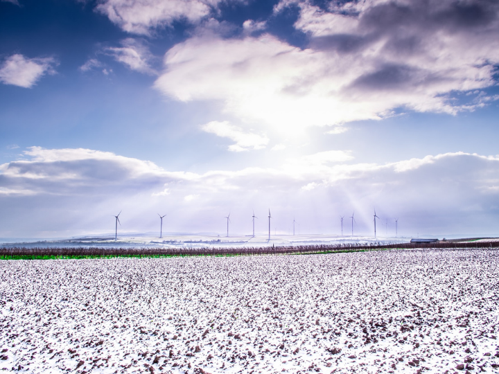 "The IMF has detailed a strategy to resolve this with three key elements: carbon pricing, a green investment plan and measures for a fair transition."