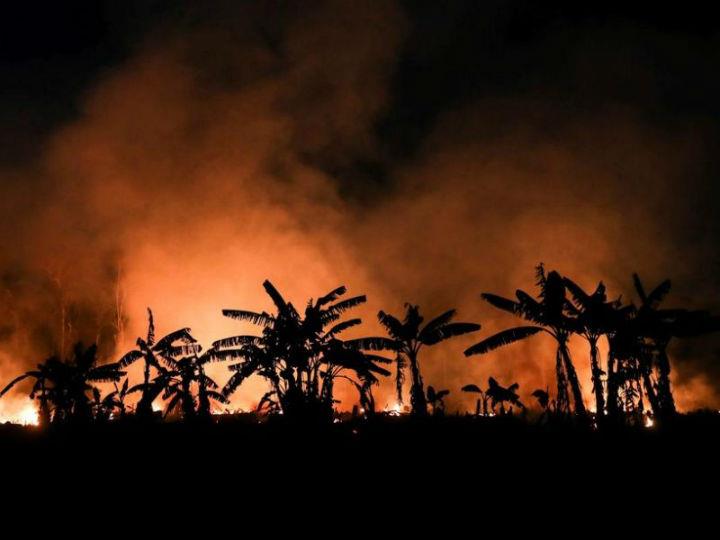 "To understand the EU’s role we need to view it over a period of 5-10 years. Those who set the Amazon alight today are betting on huge profits in the years to come."