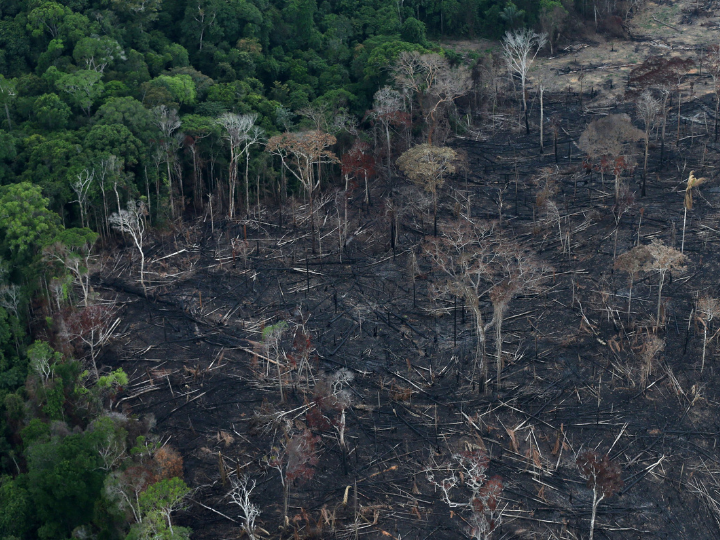 "Future of the Amazon rainforest is at a dangerous environmental tipping point if deforestation levels rise another 5%."