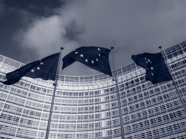 The Spring 2022 Economic Forecast projects the EU economy to continue growing in 2022 and 2023.