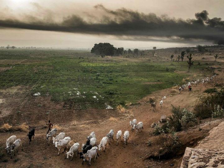 The new calculations, using UN Food and Agriculture Organisation data and other peer-reviewed scientific research, estimate that animals on European farms emit the equivalent of 502 million tonnes of CO2 per year.