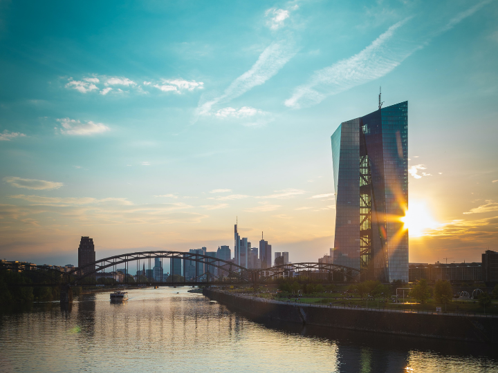 The EIB is the sole implementer of investment windows dedicated to lending to sovereign and sub-sovereign entities, and will be competing with other public banks to access guarantees from the EU budget to support the private sector.