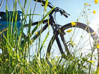 Although it represents only around 1% of the EU economy, the EU’s next long-term budget will have a big role to play in ensuring the EU hits its 2030 climate and energy targets and is in good shape to achieve net carbon neutrality by 2050.