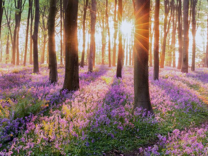 In line with the European Green Deal, they propose ambitious EU actions and commitments to halt biodiversity loss in Europe and worldwide and transform our food systems into global standards for competitive sustainability, the protection of human and planetary health, as well as the livelihoods of all actors in the food value chain. 