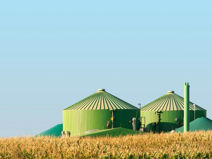 The Commission’s climate chief Frans Timmermans has made forest conservation and restoration one of the key aspects of the European Green Deal, which aims at reaching carbon neutrality by 2050.