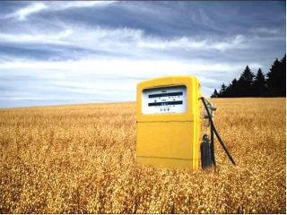 The Commission’s Regulatory Scrutiny Board gave a negative opinion on the proposal, the the think-tank pointed out, stressing that this “contravenes the written provisions of the Better Regulation Agenda, with insufficient justification provided of the decision to override this requirement”.