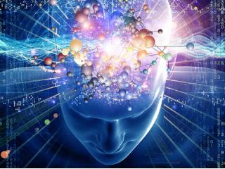 Innovation is enabled by the core fact – called neuroplasticity – that the human brain continually changes itself through experience. Neuroplasticity, also known as brain plasticity, refers to the brain’s ability to rewire itself based on experience by generating new neurons and by forming new connections between neurons, among other factors. It was believed for a long time that, after a certain age, the brain became “fixed”. Now we know that the brain never stops changing, and that’s why there’s so much interest and hope around ways to harness that neuroplasticity to lead better lives, to enhance our brains, and to delay brain health decline.