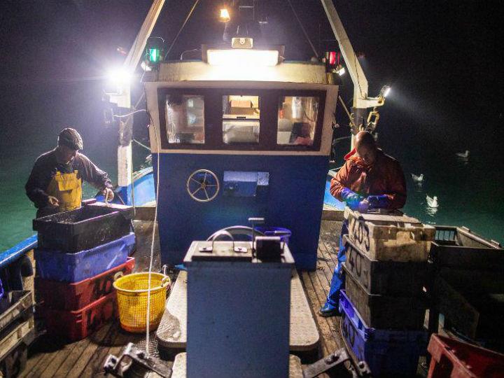 "Only rejoining the EU would solve that dilemma, but the UK may have to spend some years learning hard lessons about the way today’s interconnected world works before that becomes a politically feasible option."