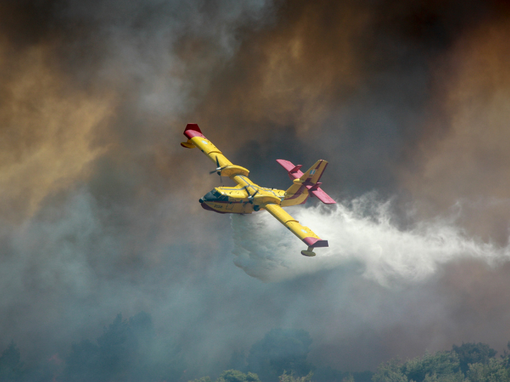 Tziritis explained that Greece had never had such a plan or an analysis of the causes or drivers of fire. He also warned that if the authorities do not act, many places across the country—which have been burnt more than two times—will be deserted.