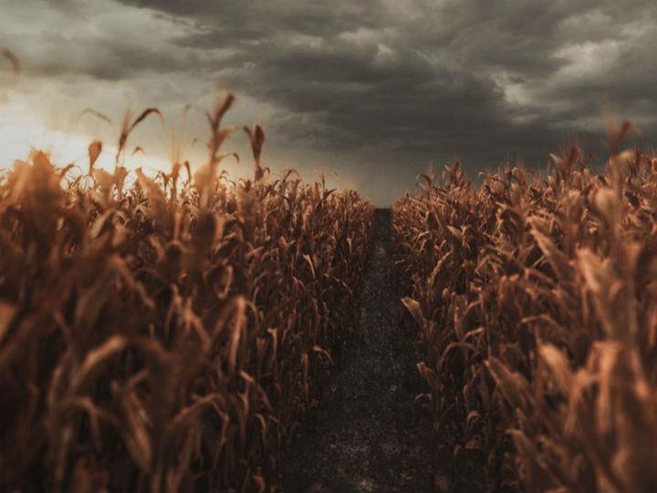 The transformation of our food systems is an idea whose time has come but which poses one of the greatest leadership opportunities and challenges of our generation.