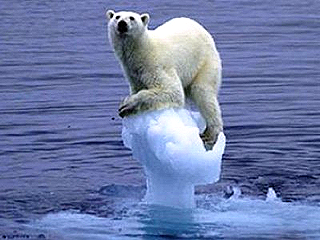 Responding to climate change is a long and daunting task.