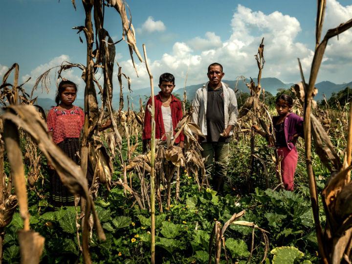“It’s kind of a vicious circle. Conflict destroys the natural resources of countries – and scarcity, in turn, leads to further conflicts”.