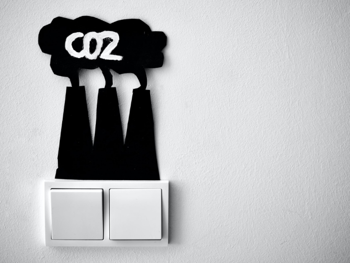 “Carbon removals will need to play a growing role, and become the main focus of action after climate neutrality is achieved and when negative emissions will be needed to stabilise the world’s temperature increase”.