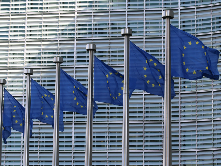 The EIC started implementation ahead of most other parts of Horizon Europe and has already selected for funding 164 SMEs and start-ups, 56 cutting-edge research projects and 29 projects to take breakthrough technologies from the lab into the real world.