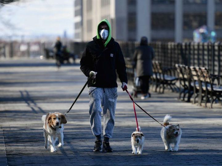 What countries have done with all these slowdowns and shutdowns in workplaces and educational institutions and in society is they really slowed down the rate of increase of the COVID outbreaks. But they actually haven’t broken the transmission chain.