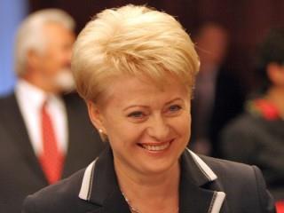 Senior UK MEP Sir Graham Watson, a former leader of the Alde group in the European parliament, has been particularly scathing of Lithuania, rubbishing claims that its EU presidency was a success. Watson says that "beneath the veneer of respectability" Lithuania "hides a serious problem." "Central to the problem is the person who is sometimes touted as the next head of the Commission - Dalia Grybauskaite."