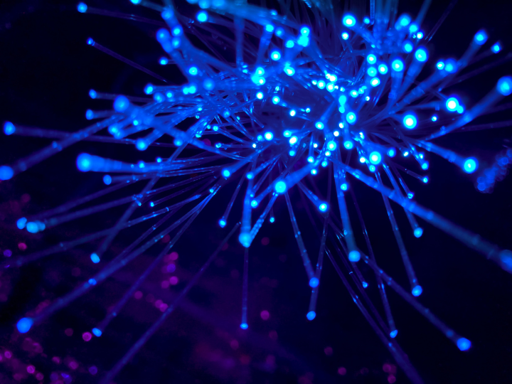 Cross-border data flows are increasingly becoming an arena for friction between states and for frustration among businesses. Fragmented regulatory regimes are holding back what should be an even more transformative — and life-enhancing — digital revolution.