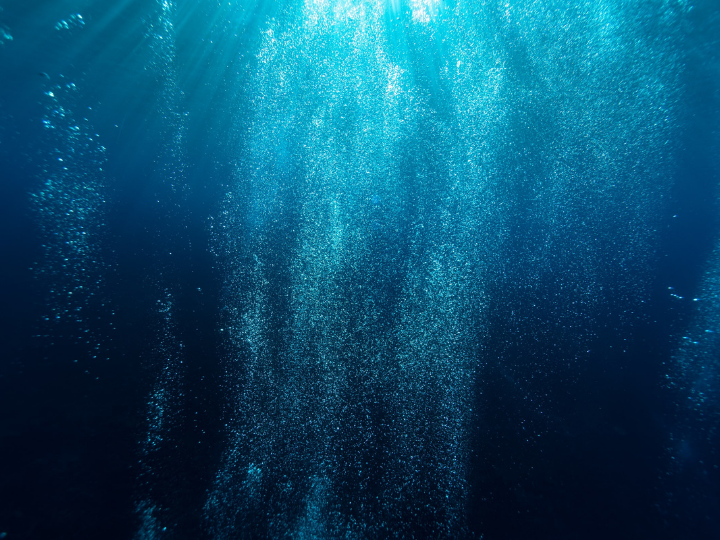 Deep-sea minerals are not currently commercially available, and whether they have a role in future supply chains is the subject of heated debate.