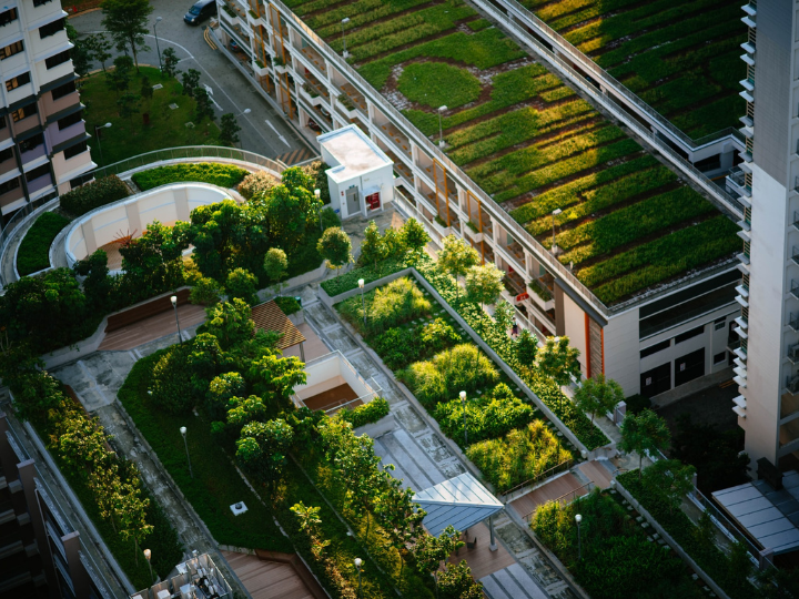 Cities have a major role to play in the race to reach net zero.