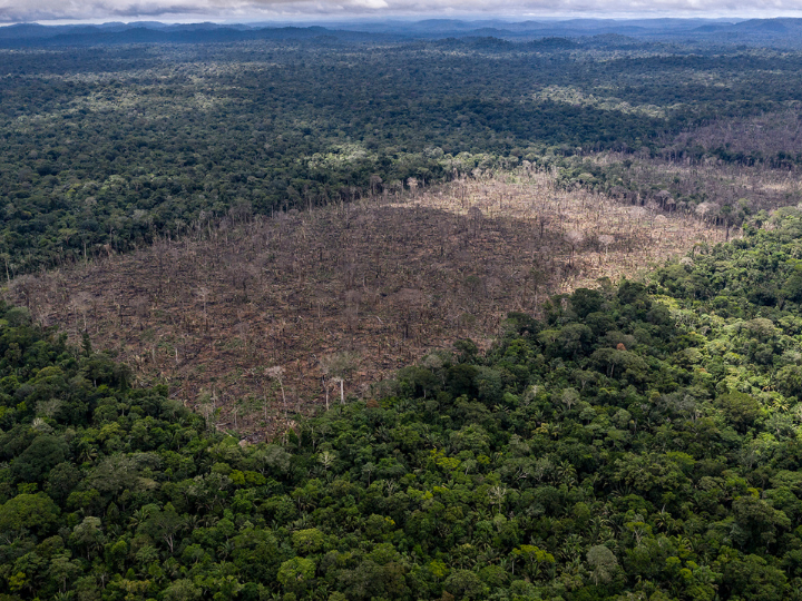 "Technological innovations offer an opportunity to bring deforestation to an end and restore some of the forests we have lost."