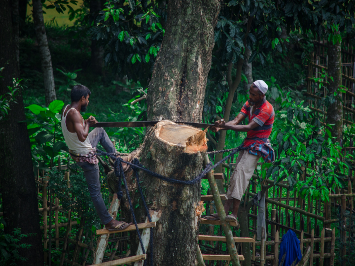 Zero Deforestation commitments can become a reality on the ground by developing integrated conservation and land use plans.