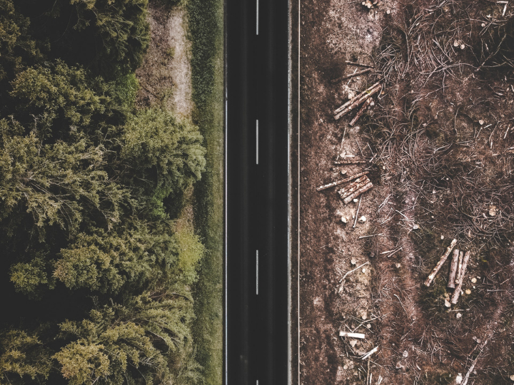 "Sustainability requirements must strictly address human rights impacts, deforestation, forest degradation, and the conversion or degradation of natural ecosystems other than forests."