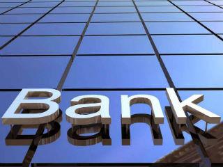 That is, the banks have a hands-on approach whereby they not only provide close project monitoring but also are in a position to nominate directors to the boards of the companies to which they lend and in which they have an equity stake. Moreover, developing banks have in-house technical expertise that allows them to participate in decisions involving choices of technology, scale and location.