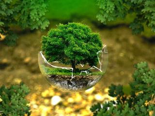 The challenge and opportunity before us today is to begin to think of development through the lens of environmental health. The environment as a primary concern, not an afterthought. The science has never been clearer. We know the impact, the consequences and the unsustainability of our development model. As we continue to connect in new ways, we must also reconnect to Earth.